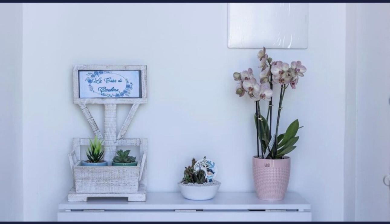 Apartament La Casa Di Carolina Maratea Zewnętrze zdjęcie